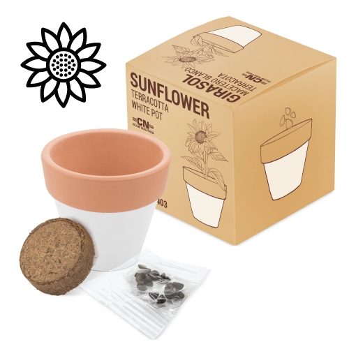 MACETA TERRACOTA "WHITE" GIRASOL