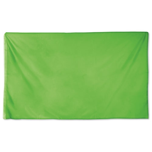 T-36-PS-500x500-1.jpg BANDERA FIESTA "DRAC" PISTACHO