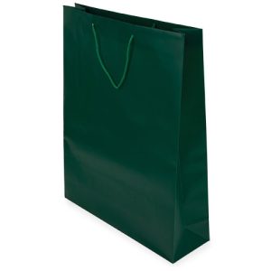 T-455-VE-500x500-1.jpg BOLSA REGALO PVC "PRESTO" VERDE