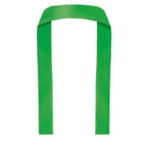 CINTA PULSERA POLIESTER 1,5 CM VERDE